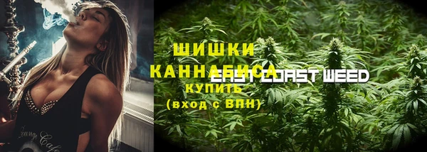 ГАЛЛЮЦИНОГЕННЫЕ ГРИБЫ Алексин