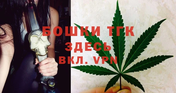 ГАЛЛЮЦИНОГЕННЫЕ ГРИБЫ Алексин