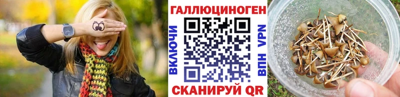 Галлюциногенные грибы Psilocybine cubensis  Дюртюли 