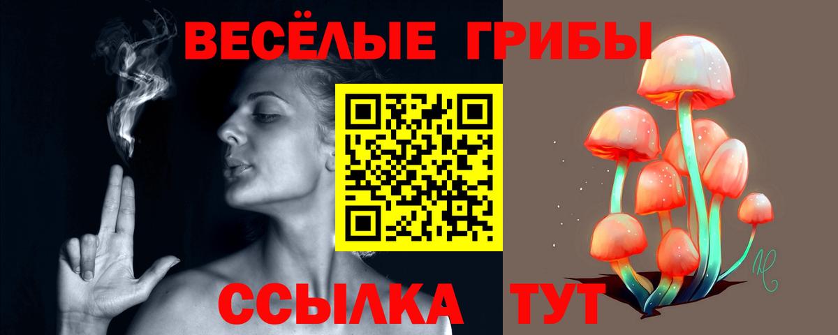 Псилоцибиновые грибы Psilocybine cubensis  Вход с VPN  Дюртюли  Галлюциногенные грибы GOLDEN TEACHER 